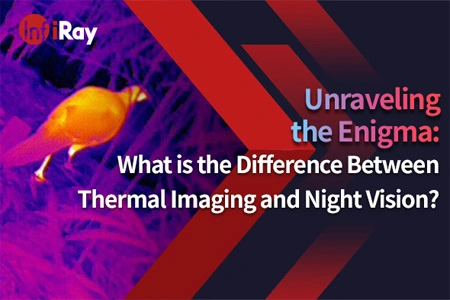 Smontare l'puzzle: qual è la differenza tra l'imaging termico e la visione notturna?