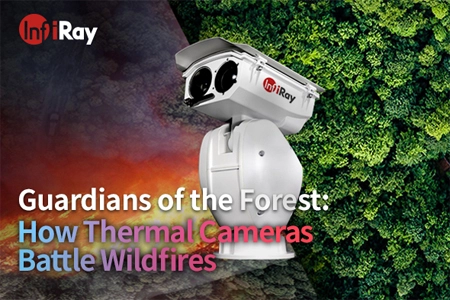 Guardiani della foresta: come le termocamere combattono gli incendi
