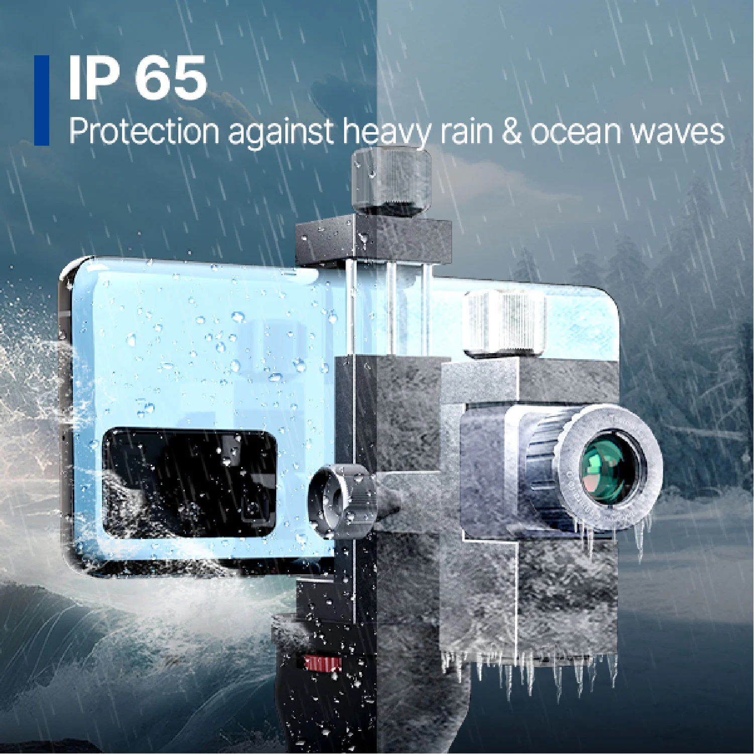 IP 65