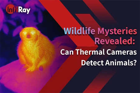 I segreti della fauna selvatica hanno dimostrato: le termocamere possono rilevare gli animali?