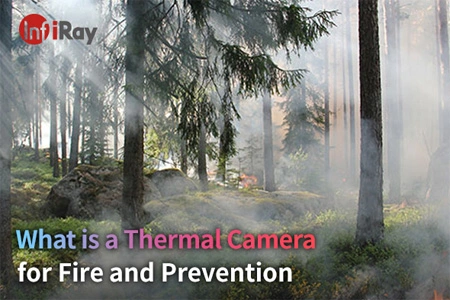 Cos'è una termocamera per incendio e prevenzione?